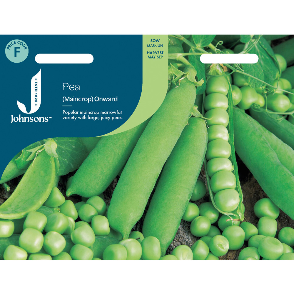 Pea Maincrop Onward Seeds Image 2