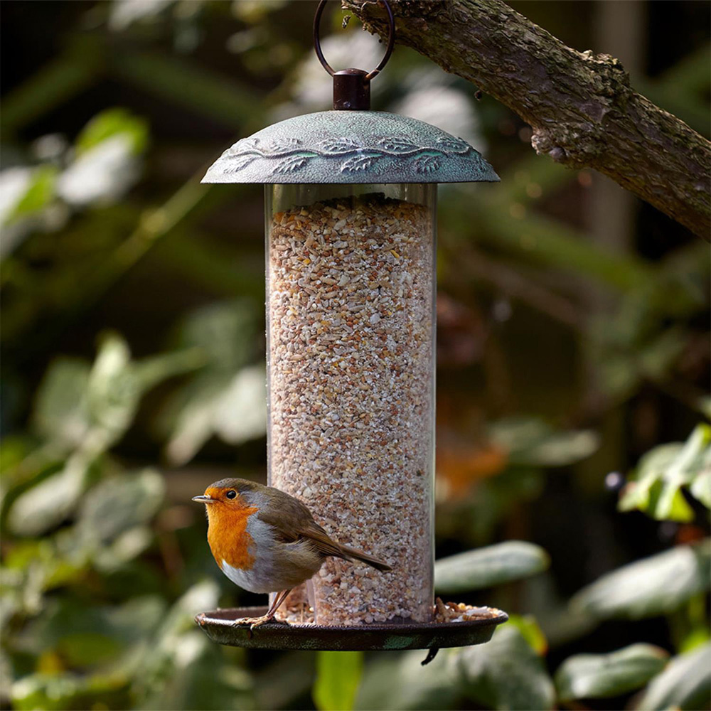 Peckish Complete Seed and Nut Mix Wild Bird Food 20kg Image 3