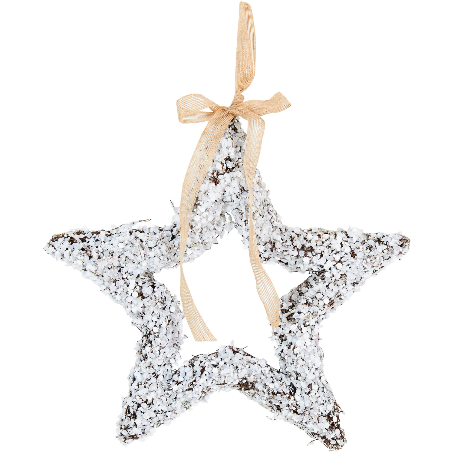 Frosted Wreath - Natural & White Image 1