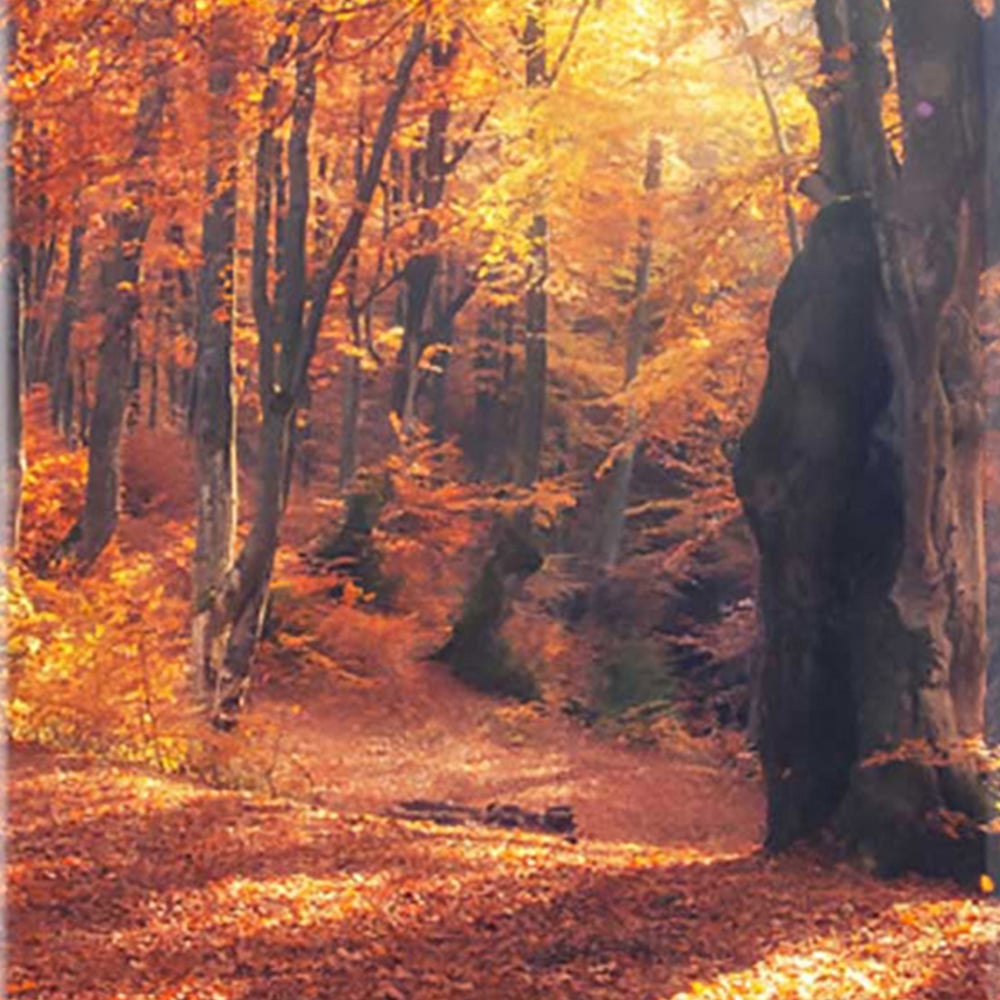 Warren Reed Designer Large Autumn Forest Suitcase Image 3