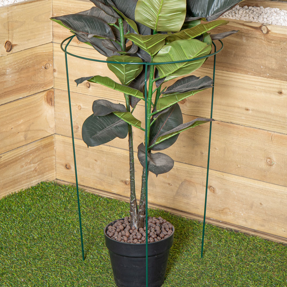 Samuel Alexander Metal Herbaceous Plant Support Ring 40 x 60cm Image 6