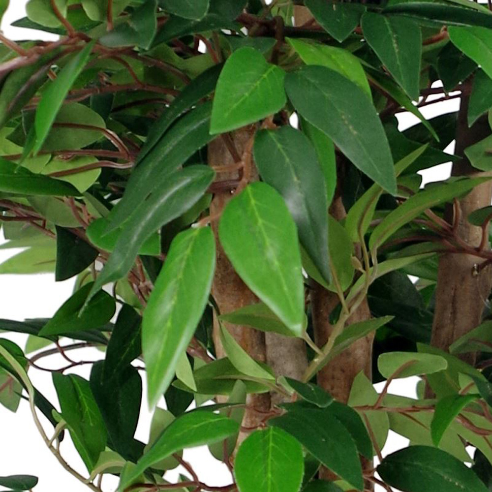 Botanik Smilax Ficus Artificial Tree with Real Wood Trunk in Pot 3ft Image 2