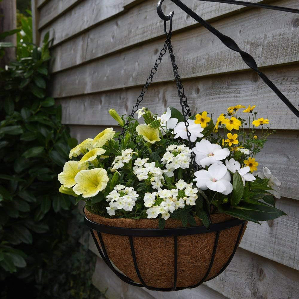 Garden Grow Hanging Basket and Liner Image 2