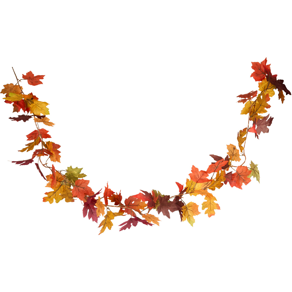 20 LED Autumnal Garland String Light Image 1