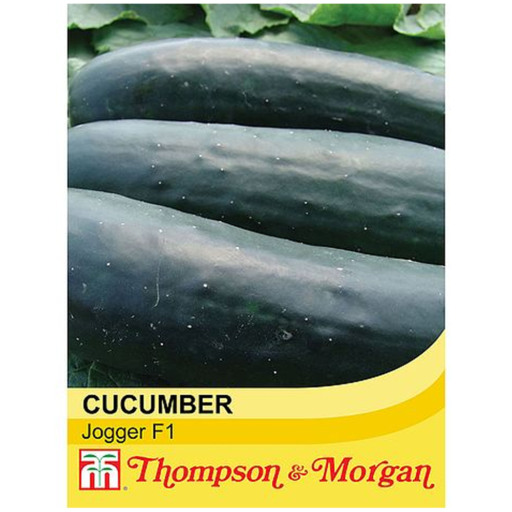 Thompson and Morgan Cucumber Jogger F1 Hybrid Seeds Image 1