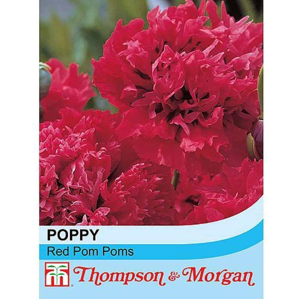 Thompson & Morgan Poppy Red Pom Poms Seeds Image 2