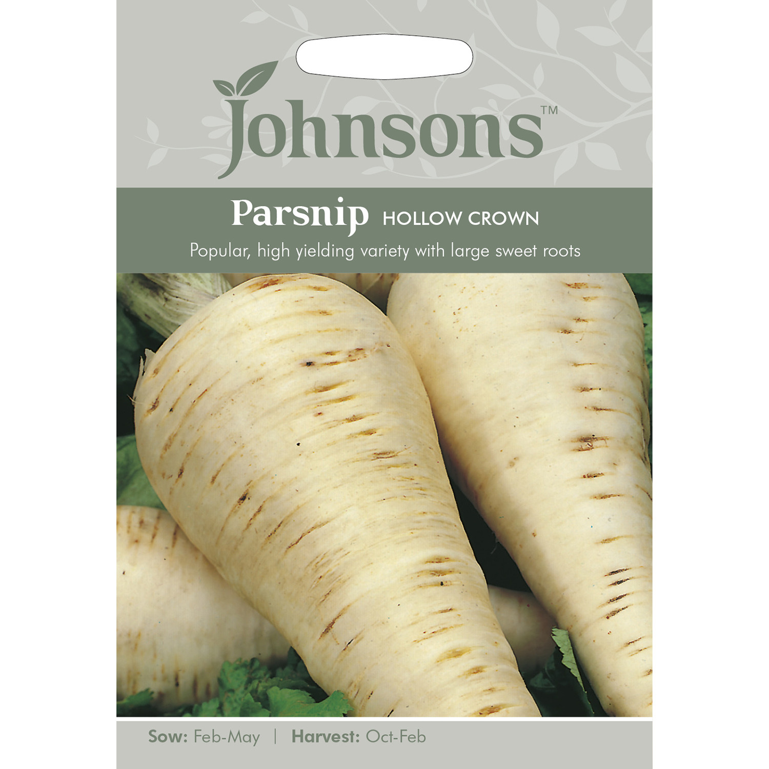 Johnsons Hollow Crown Parsnip Seeds Image 2