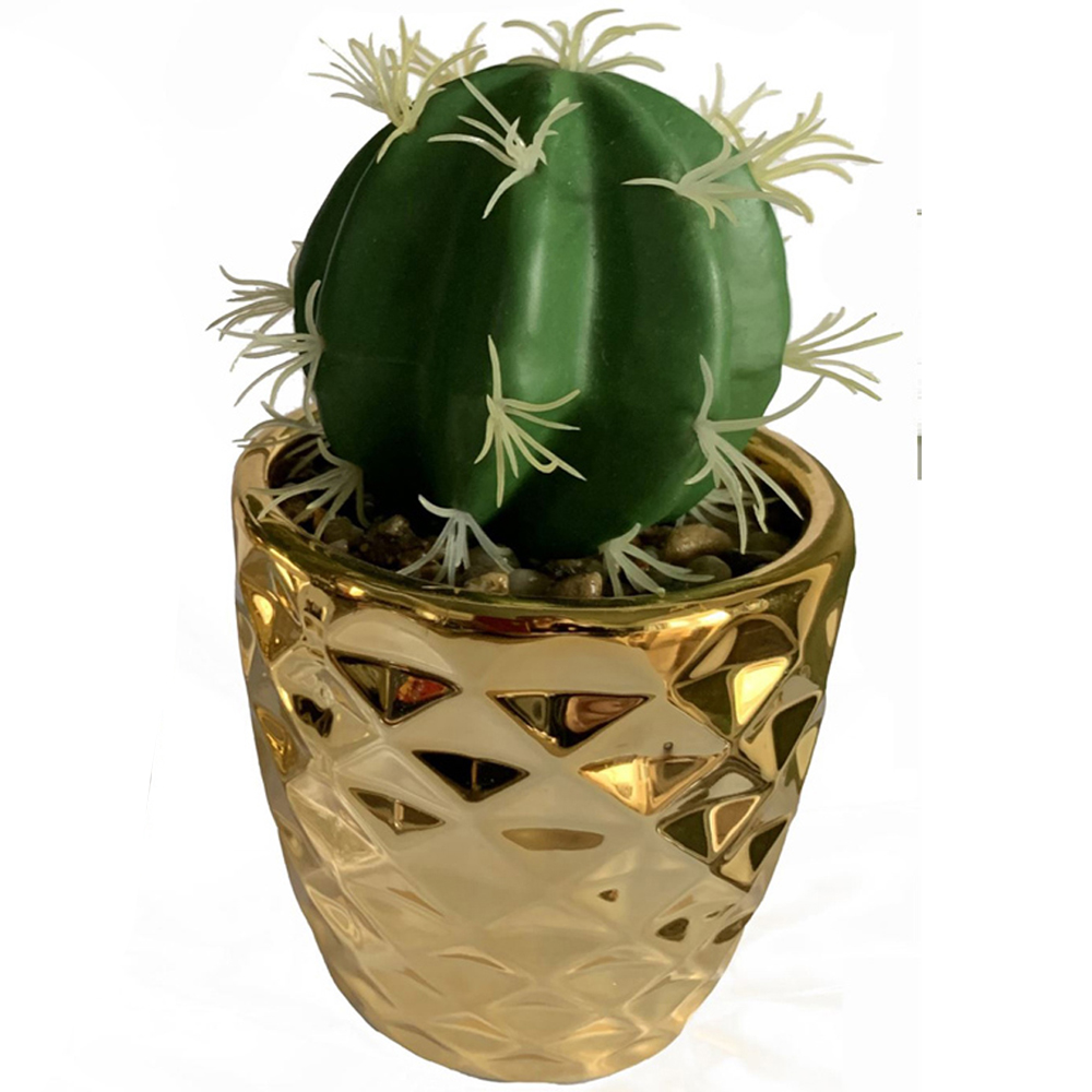Leaf Silver and Gold Ceramic Planter with Cactus and Dracaena 15cm Set of 2 Image 3