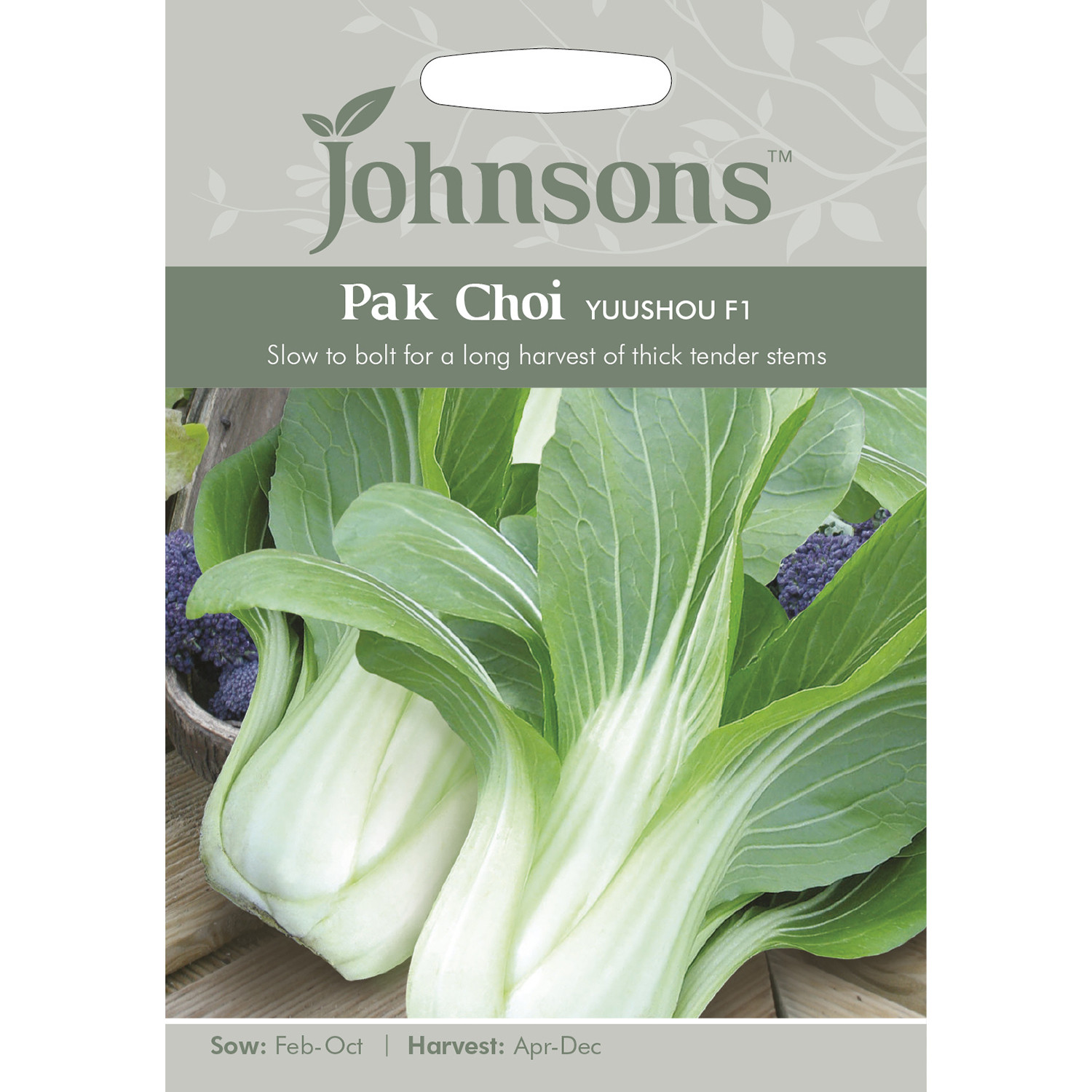 Johnsons Yuushou F1 Pak Choi Seeds Image 2