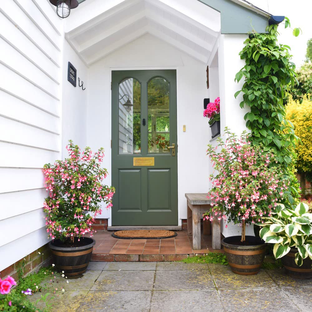 Thompson and Morgan Fuchsia Quarter Standard Elma Plant Pot 19cm Image 2