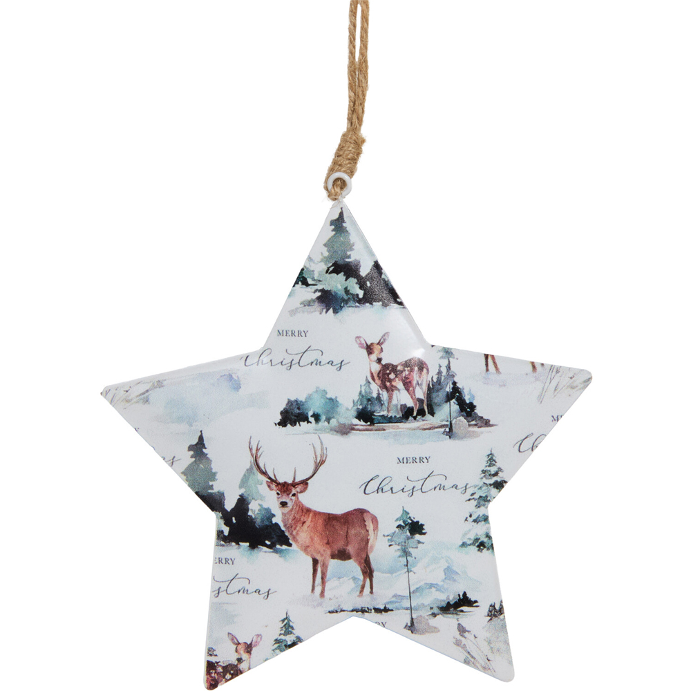 Metal Scandi Hanging Star Decoration Image 6