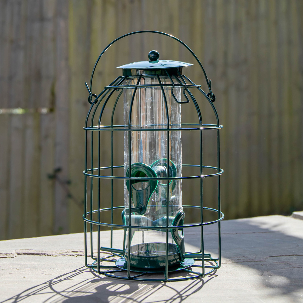 Samuel Alexander Metal Hanging Bird Seed Feeder with Squirrel Guard 3 Pack and 1kg Seed Feed Image 5