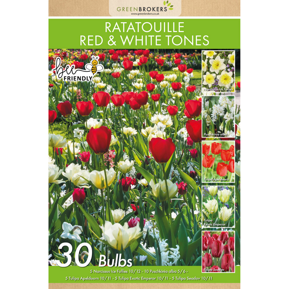 GreenBrokers Dutch Ratatouille Red and White Tones Mixed Planting Bulb 30 Pack Image 2