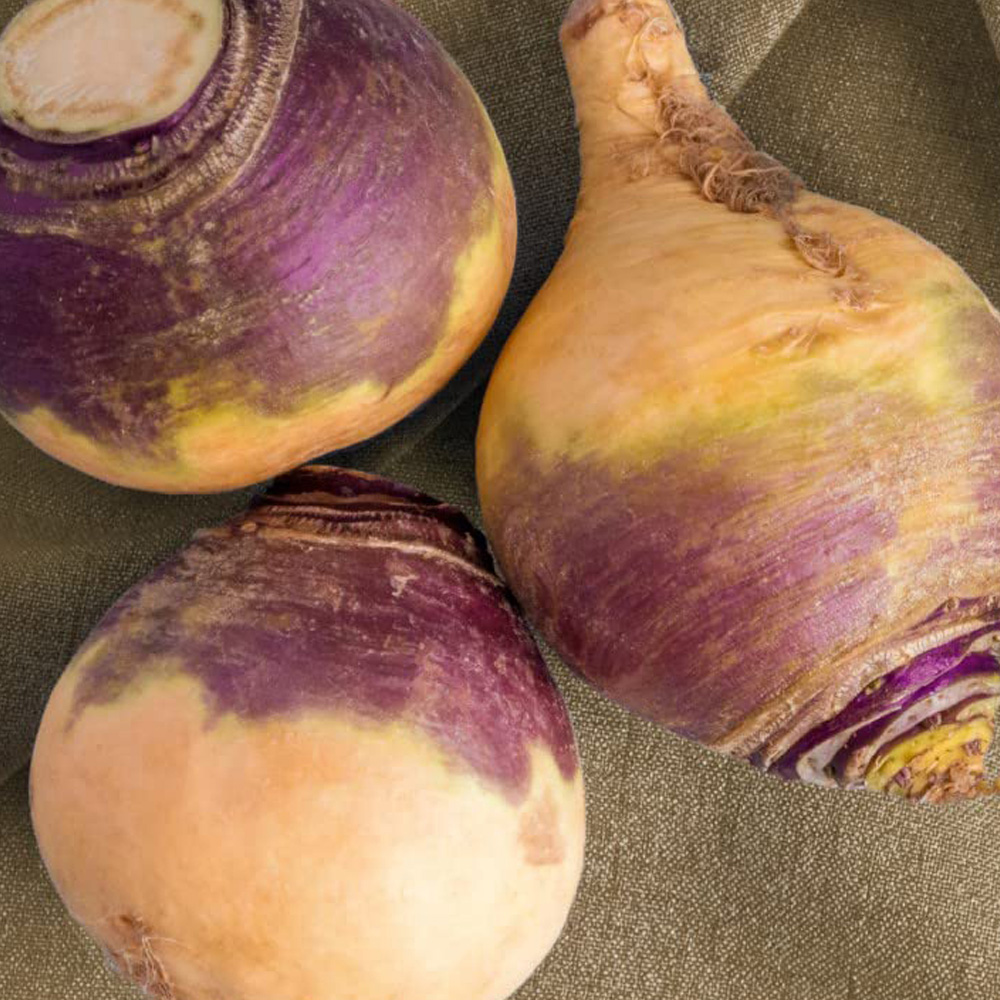 Thompson & Morgan Swede Brora Seeds Image 1