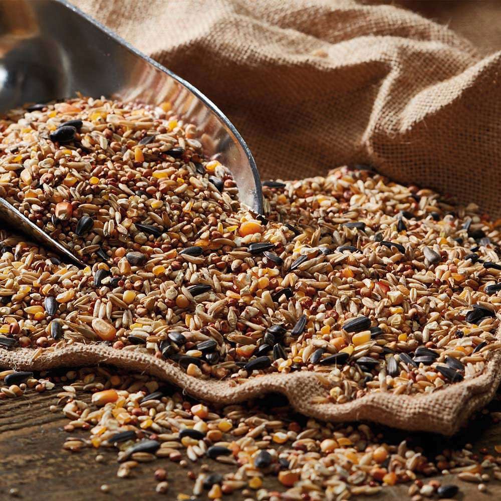 Happy Beaks No Wheat Wild Seed Mix Bird Food25.5kg Image 4