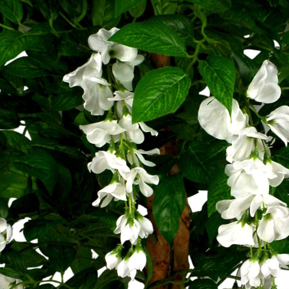 Leaf White Flowers Wisteria Artificial Tree in Pot 130cm Image 3