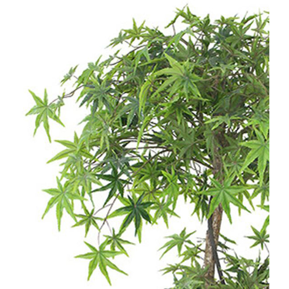 Leaf Japanese Acer Trunk Artificial Tree in Plastic Pot 5ft Image 2