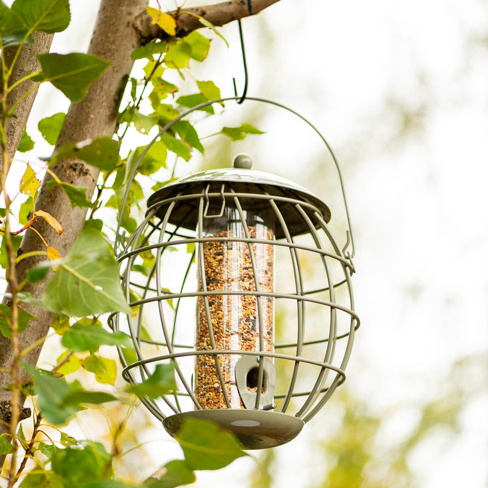 Thompson and Morgan Happy Beaks Orbital Squirrel Proof Seed Feeder Image 4