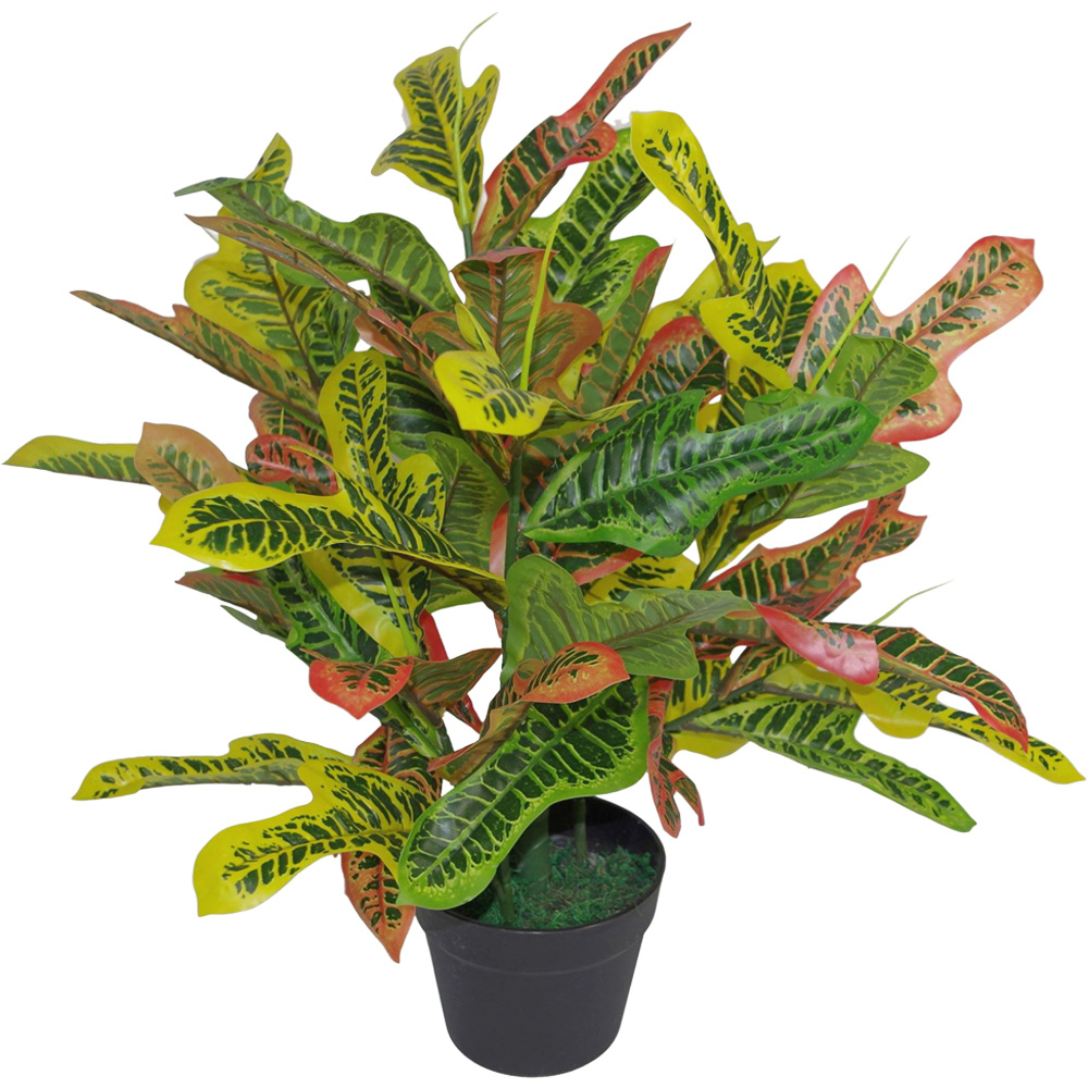 Leaf Codiaeum Multicoloured Artificial House Plant Pot 65cm Image 1
