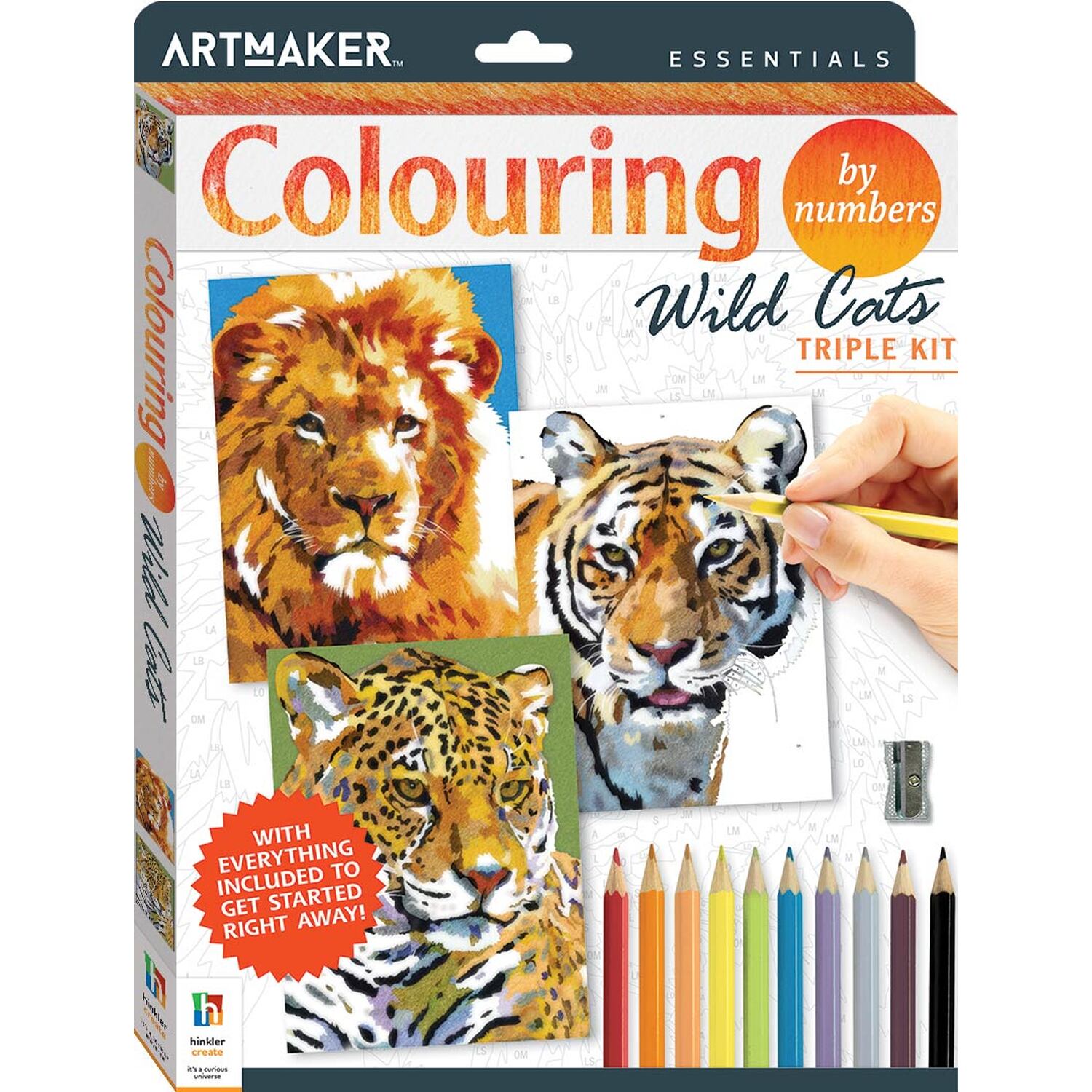 Colouring by Numbers Triple Kit - Wild Cats Image