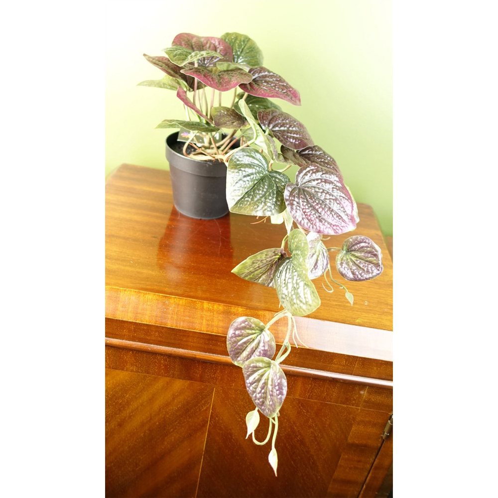 Botanik Purple Trailing Pothos Artificial Plant 35cm Image 3