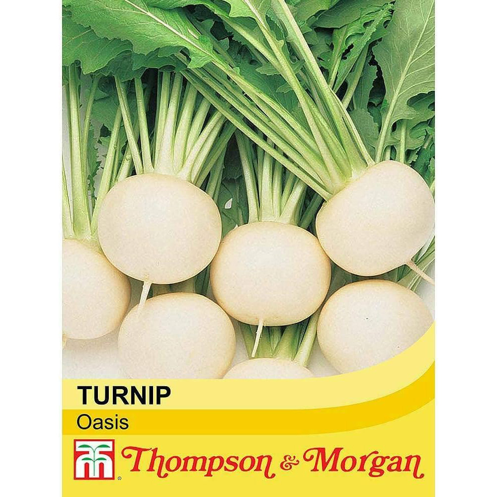 Thompson & Morgan Turnip Oasis F1 Hybrid 250 Seeds Packet Image 2