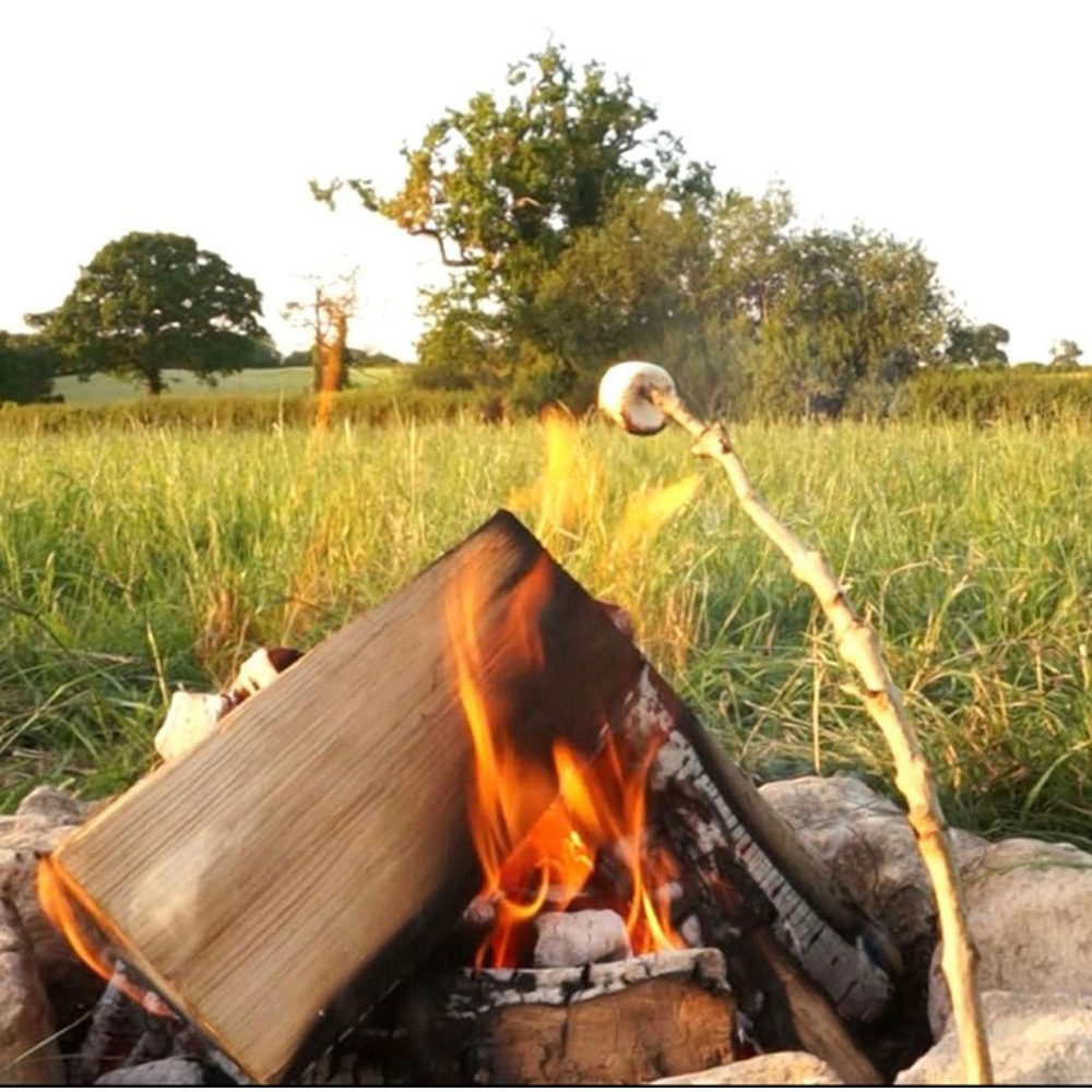 Ecoblaze Ash Kiln Dried Crate Firewood Logs Image 2