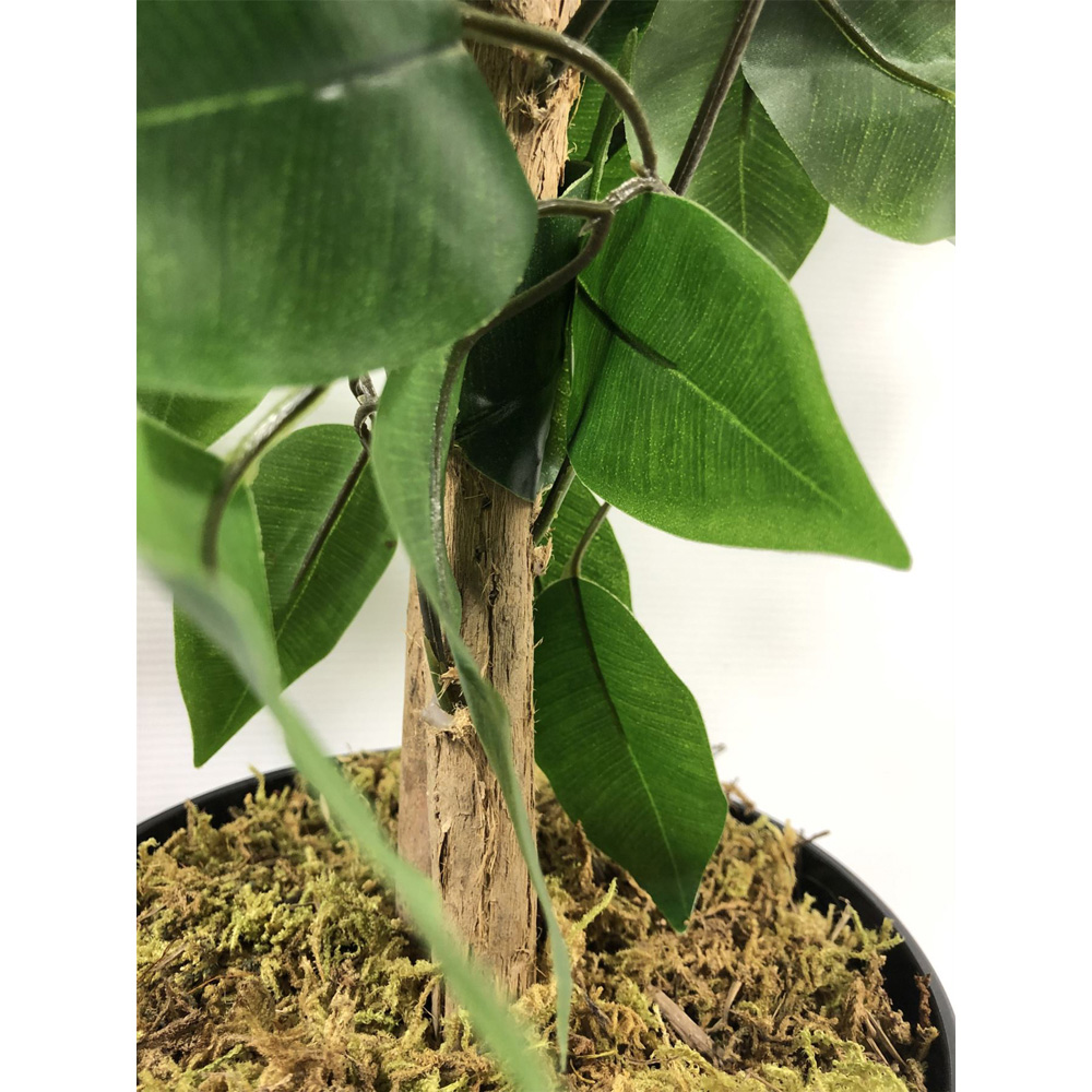Leaf Ficus Artificial Bushy Plant 2.9ft Image 3
