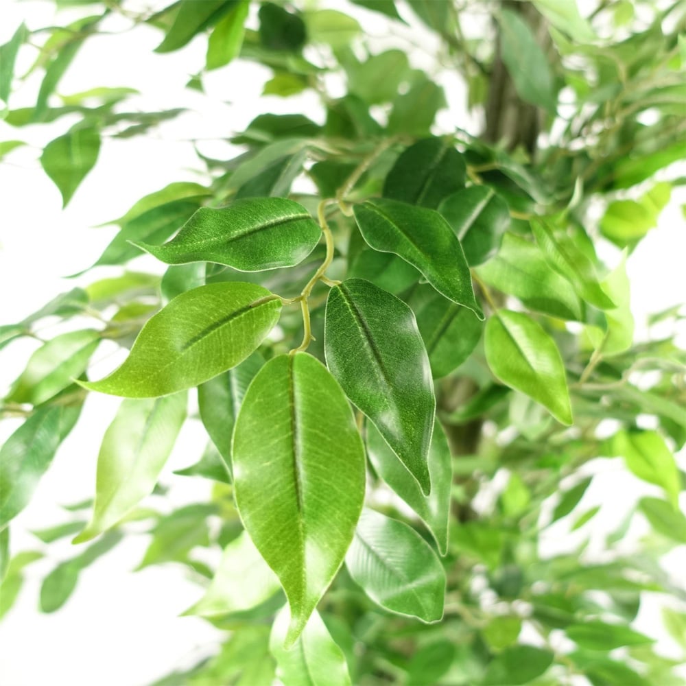 Leaf Ficus Artificial Tree in Pot 180cm Image 2