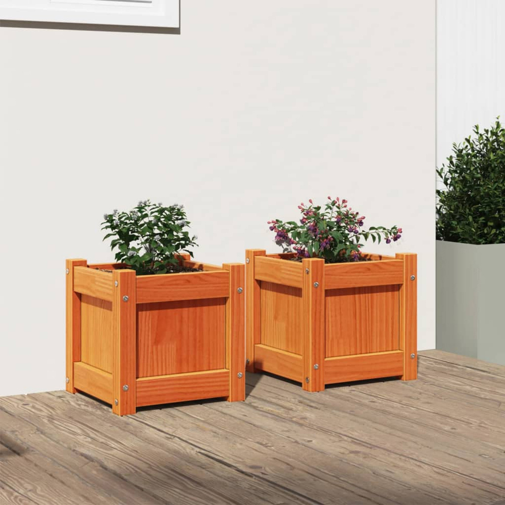 vidaXL Brown Solid Pine Wood Garden Planter 31 x 31 x 31cm 2 Pack Image 2