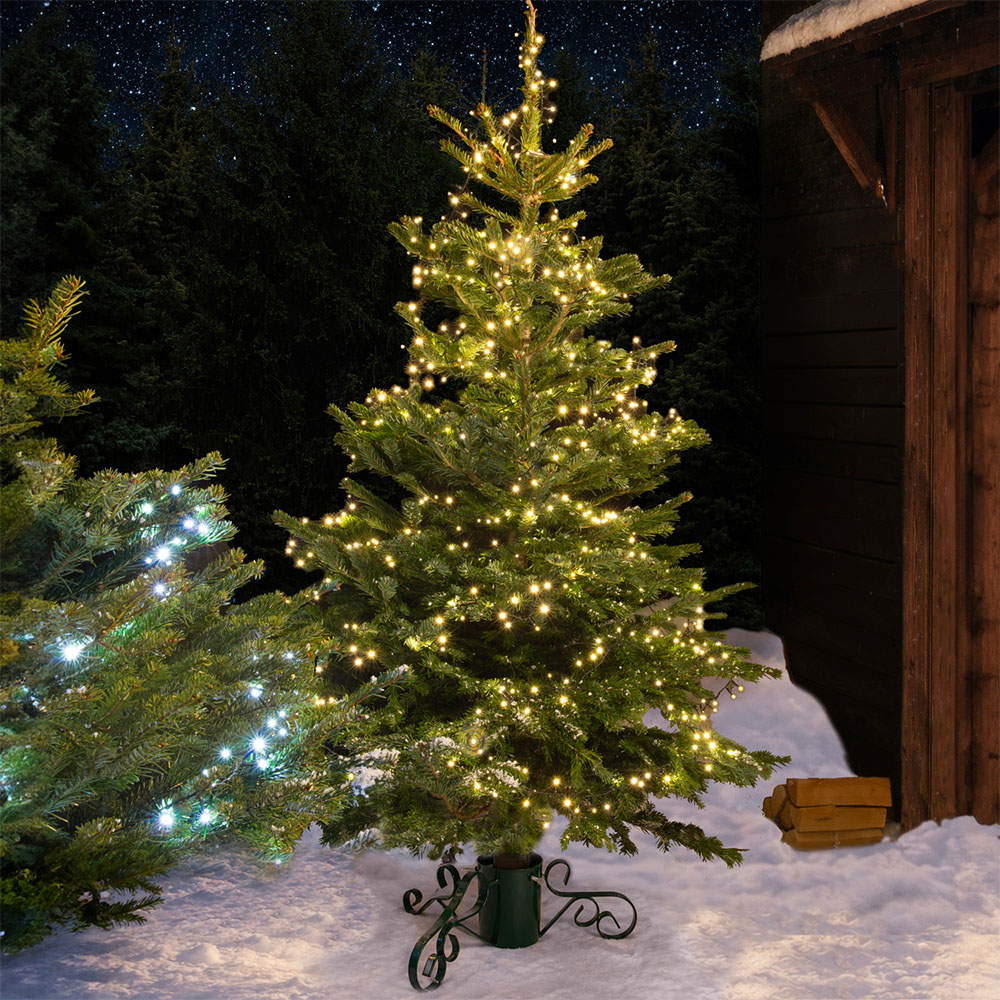 Nordman Fir Real Christmas Tree - Green / 7ft Image 2