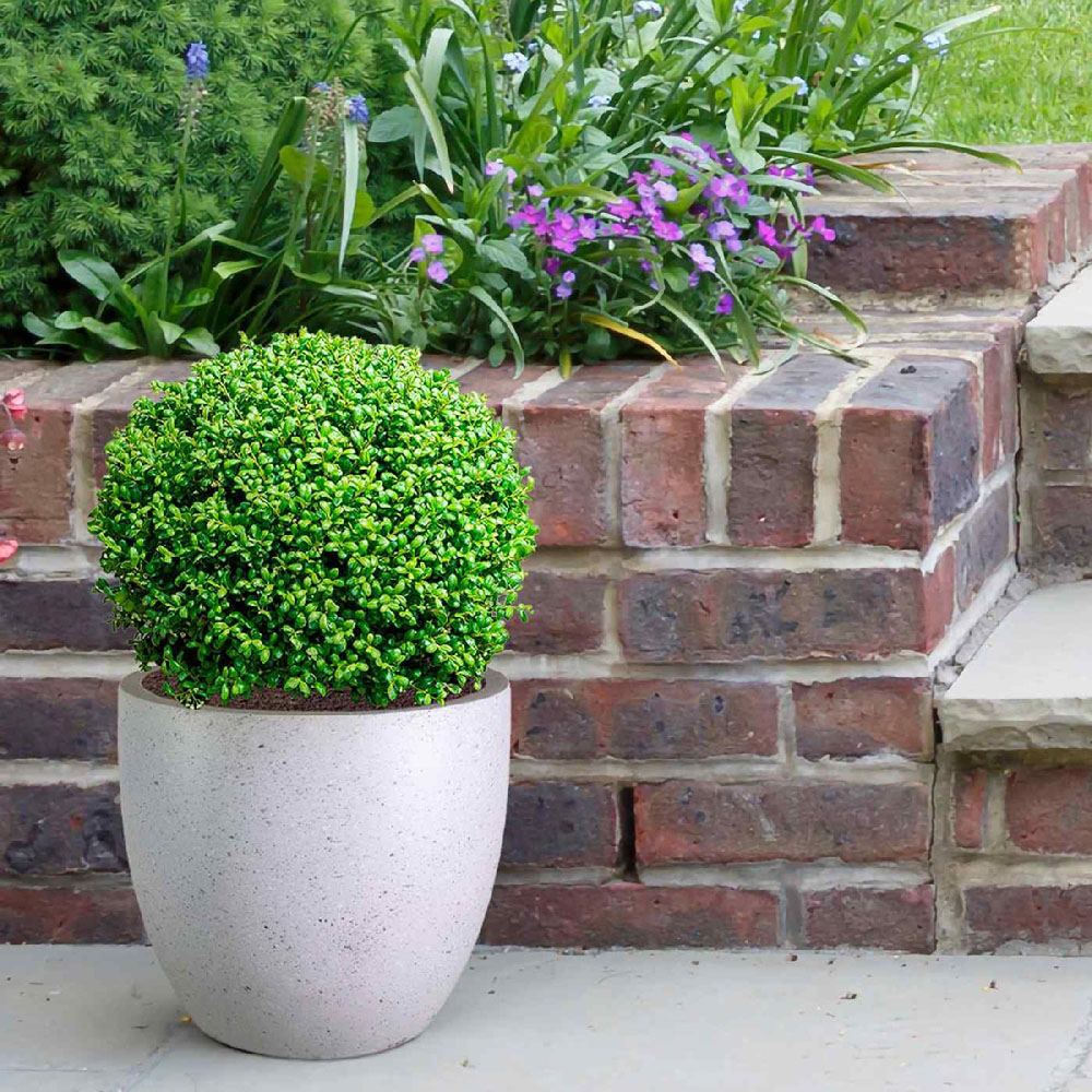 wilko Grey Marble Light Concrete Fibrestone Egg Outdoor Plant Pot 32cm Image 5