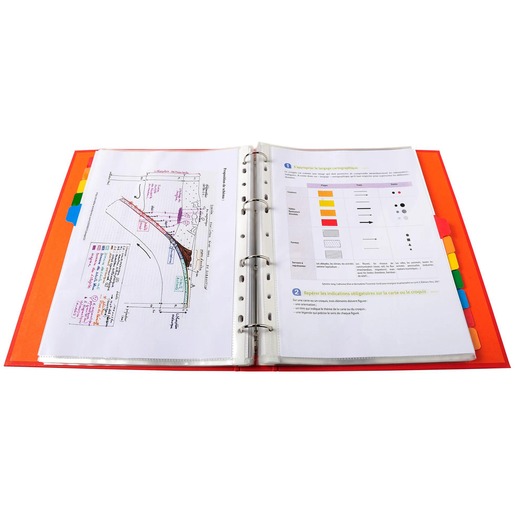 Exacompta A4 Maxi 12 Section White Divider with Multicolour Tabs 20 Pack Image 5