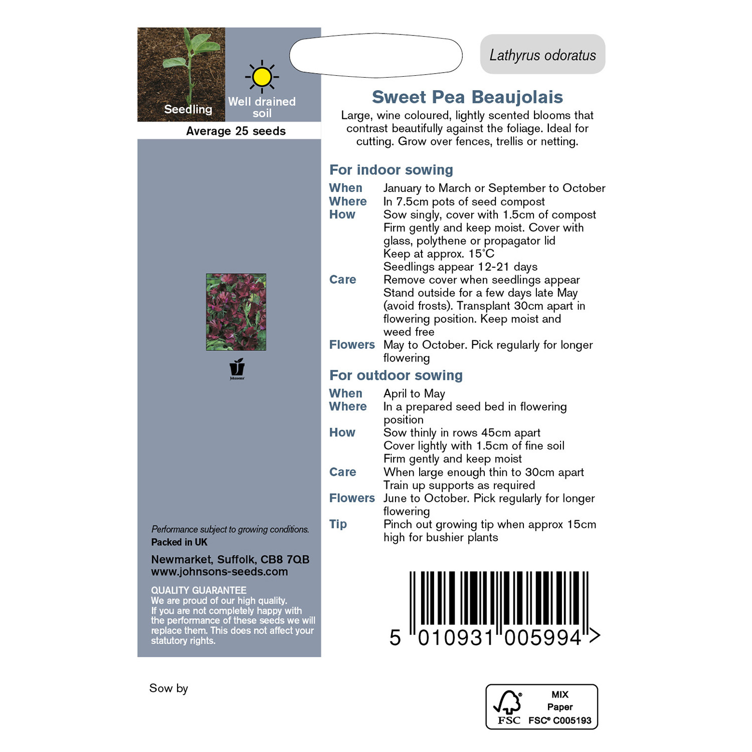 Johnsons Pack of Beaujolais Sweet Pea Flower Seeds Image 2