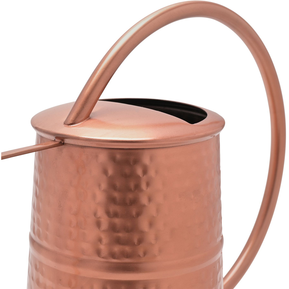 Country Living Copper Watering Can Image 3