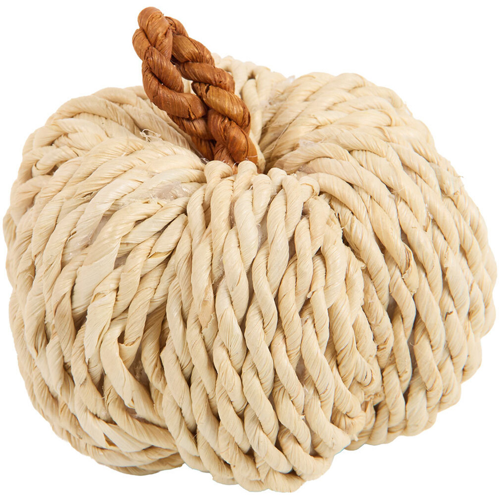 Pack of 3 Autumnal Woven Pumpkins Image 2