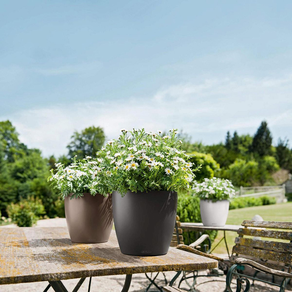 Lechuza Classico Sand Brown Poly-Resin Self-Watering Planter 19cm 3 Pack Image 2