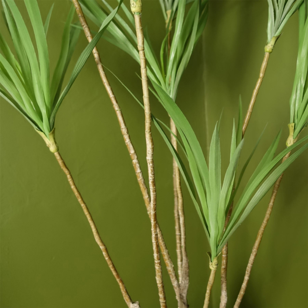 Botanik Dracaena Dragon Artificial Tree in Pot 4ft Image 5