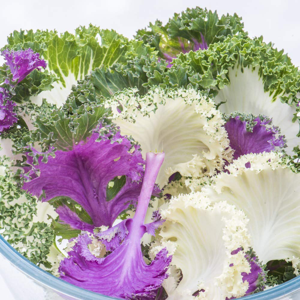 Thompson & Morgan Kale Jardin Mixed Seed Packet Image 2