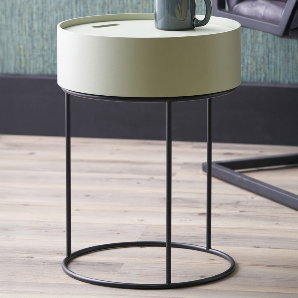 Pacific Lifestyle Hugo Sage Green Wood Veneer and Black Metal Storage Table Image 1