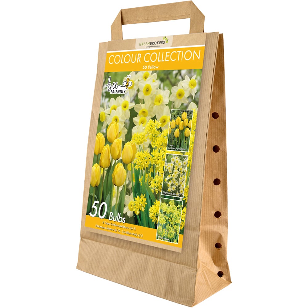 GreenBrokers Dutch Yellow Colour Bee Friendly Mixed Collection Planting Bulb 50 Pack Image 1