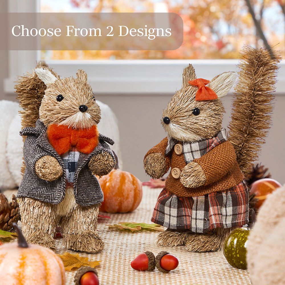 Benross Anika Mr Squirrel Straw Decor 19cm Image 6