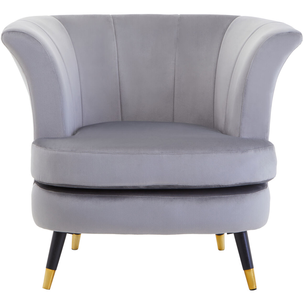 Premier Housewares Loretta Grey Velvet Curved Accent Chair Image 5