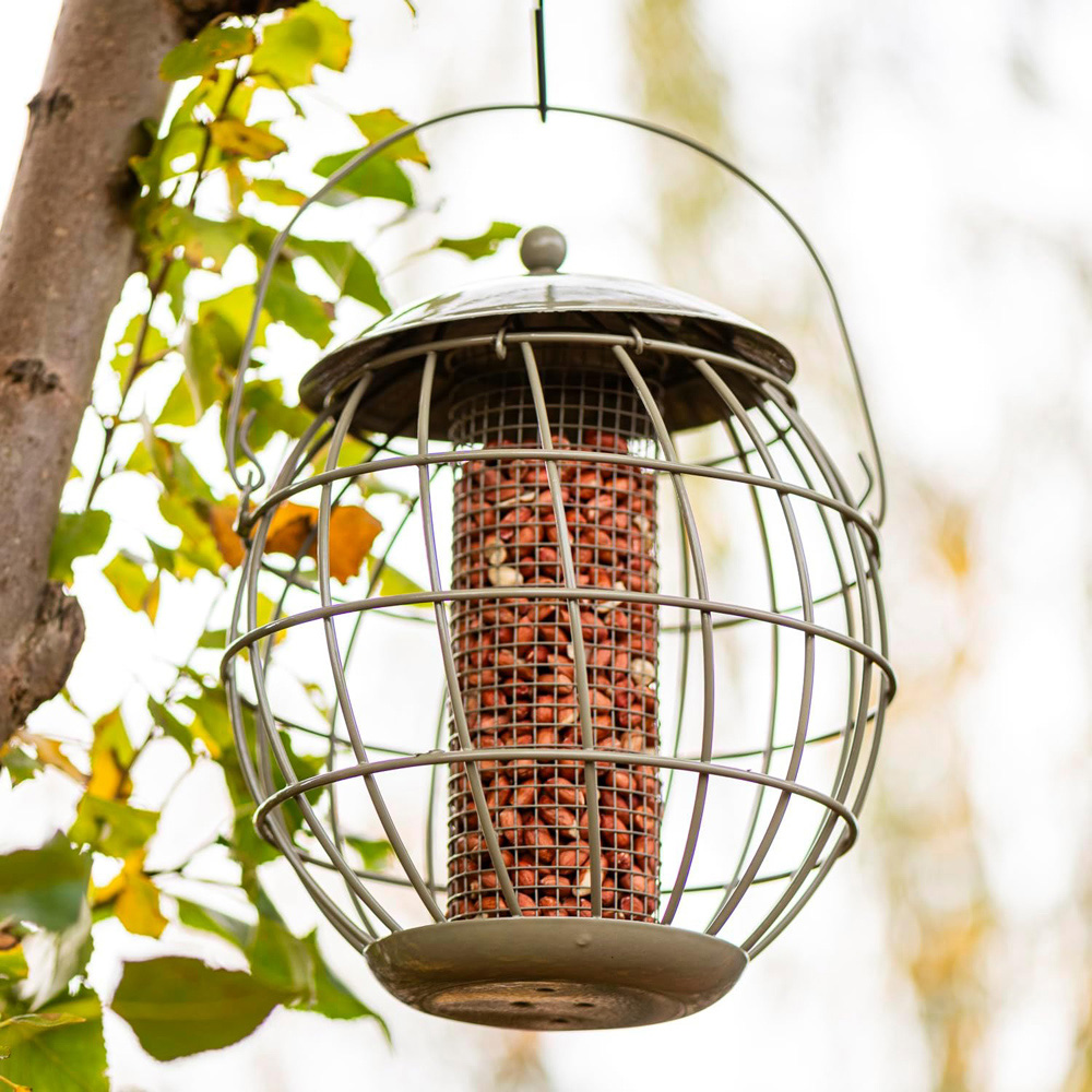 Thompson and Morgan Happy Beaks Orbital Squirrel Proof Peanut Feeder Image 2