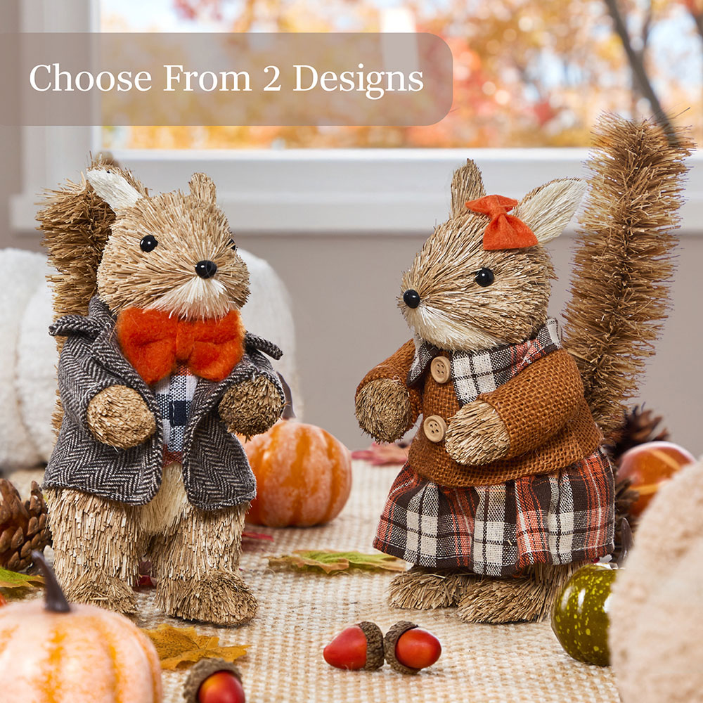 Benross Anika Mrs Squirrel Straw Decor 19cm Image 6