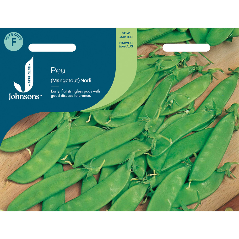 Pea Mangetout Norli Seeds Image 2
