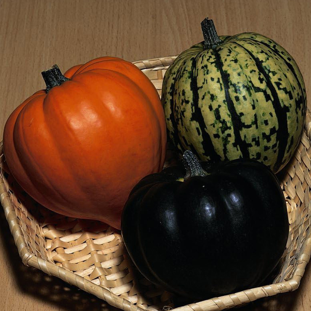 Thompson and Morgan Squash Winter Celebration Mixed F1 Hybrid Seeds Image 1