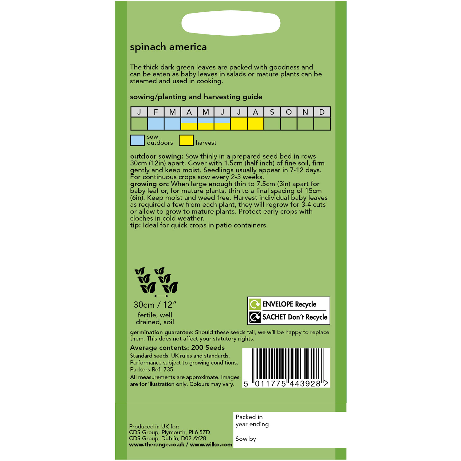 Wilko Spinach America Seeds Image 2