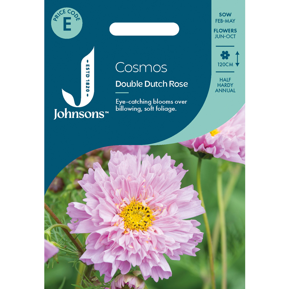Pack of Cosmos Double Dutch Rose Flower Seeds Image 1