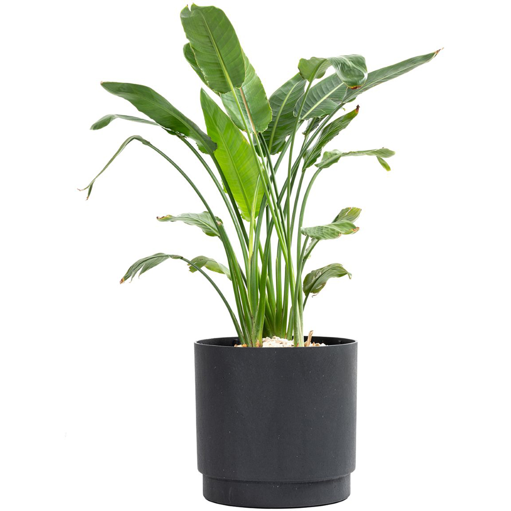 Primeur Tierra Verde Alto Slate Planter 40cm Image 2